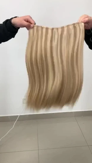 La calidad al por mayor todo colorea el halo brasileño del pelo de la Virgen del pelo ruso 100% de Remy en extensiones del pelo